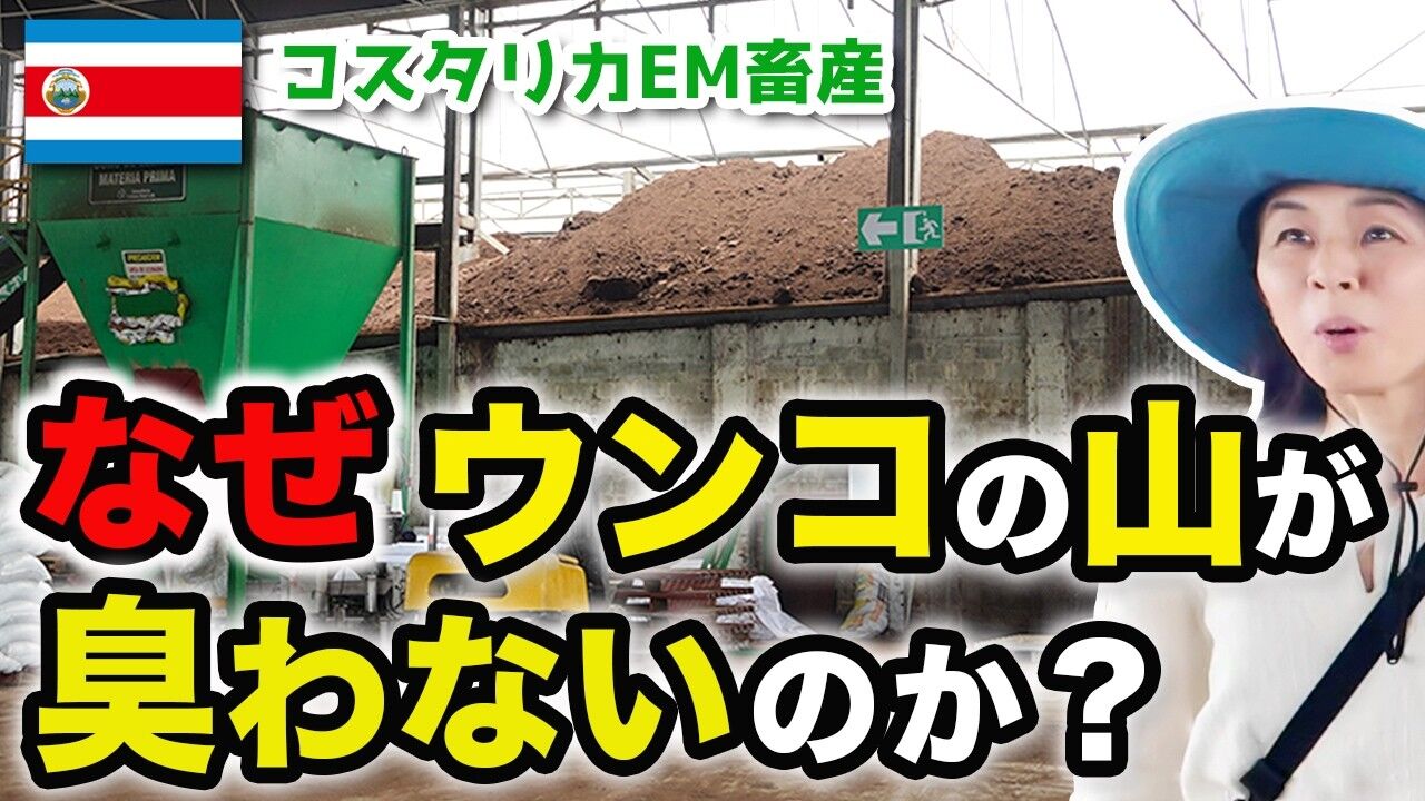 コスタリカ最大級の牧場で見た、臭わない畜産の秘密