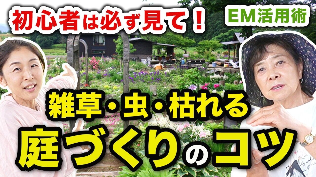 水やりは一切しません。山形・長井の「森のガーデン花」で教わった、強い庭のつくり方